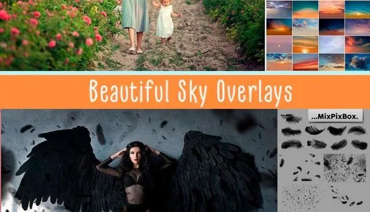 3900+ Photo Overlay
