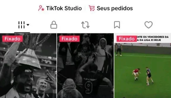 Conta De Tiktok Viral