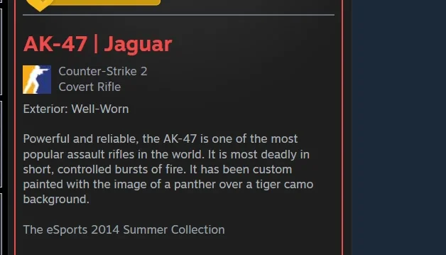 skins cs go ak jaguar WW