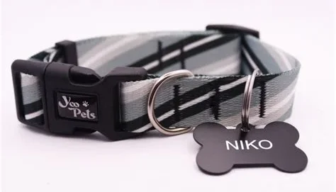 Coleira com Nome e Telefone para Cachorro