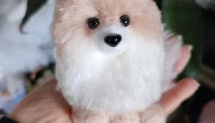 Miniatura Spitz - Amigurumi de Crochê com Feltragem