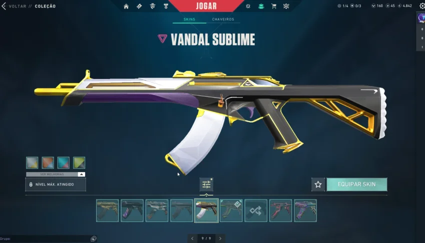Conta Valorant R$1.379,50 em Skins + Conta LoL