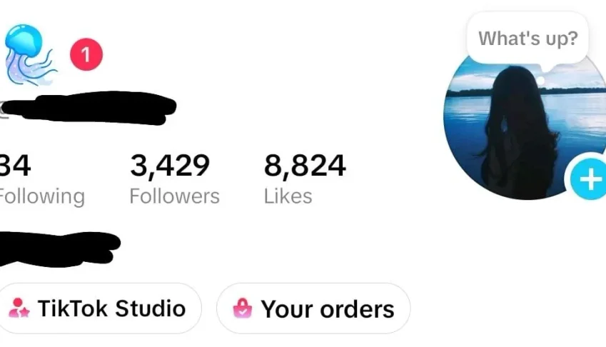 conta Tik Tok 3400 seguidores