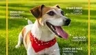 Ração Pedigree Nutrição Essencial Carne para Cães Adultos 15