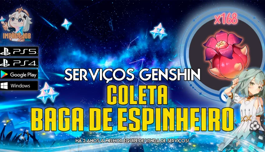 Serviços Genshin - Coleta Baga de Espinheiro (168x)
