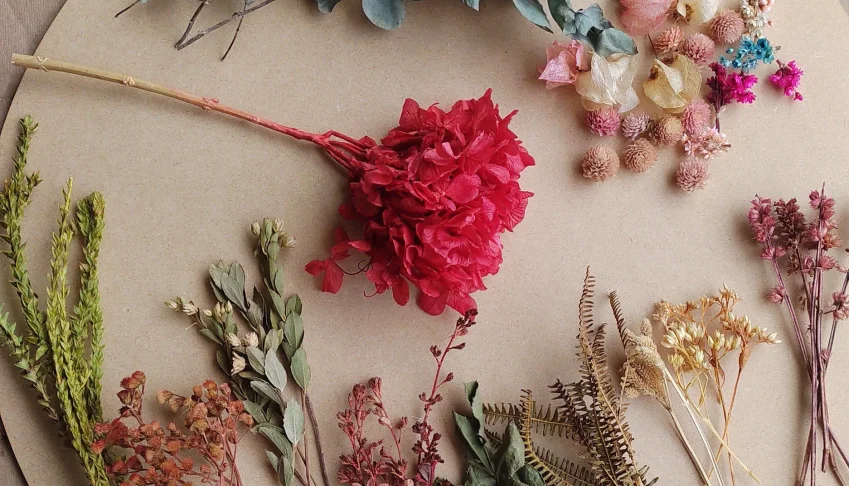 Kit 1 - Flores e Folhagens Desidratadas