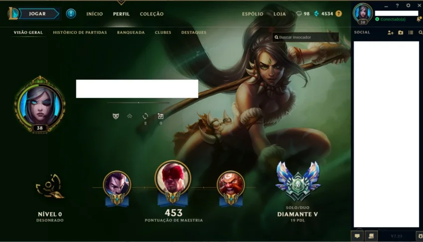 D5 129 Champions  60 Skins 101 Icones
