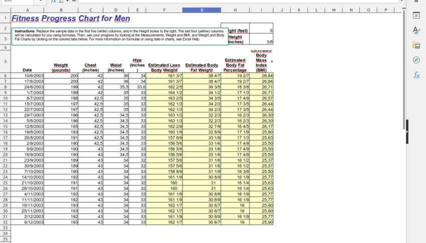 Fitness Progress Tracking Spreadsheet