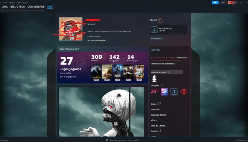 Conta Da Steam