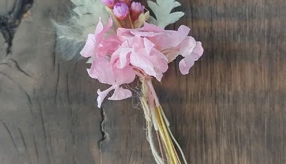 Mini buque Desidratado para lembrancinhas