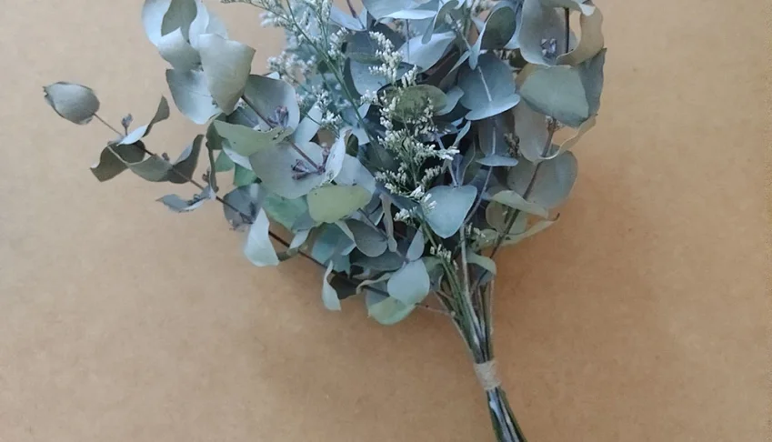 Buque Eucalipto com Limonium