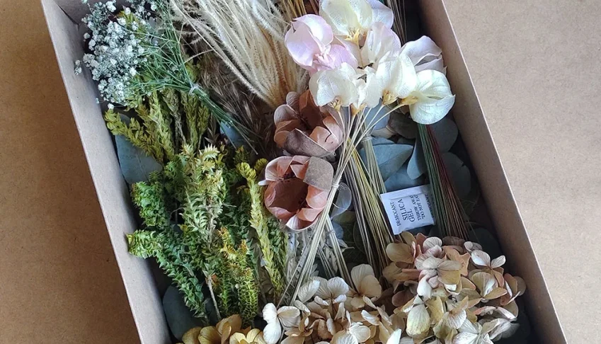 Caixa com flores e folhagens desidratadas (16 especies)