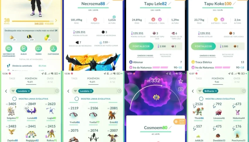 Nível 38 | 27 Lendários | 3 Míticos | 6 Shinies | L010