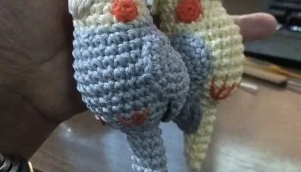 Chaveiro de Crochê Calopsita