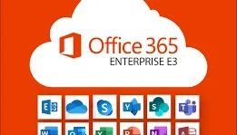 Office 365 Business Standard – Painel | 1TB | 25 usuários