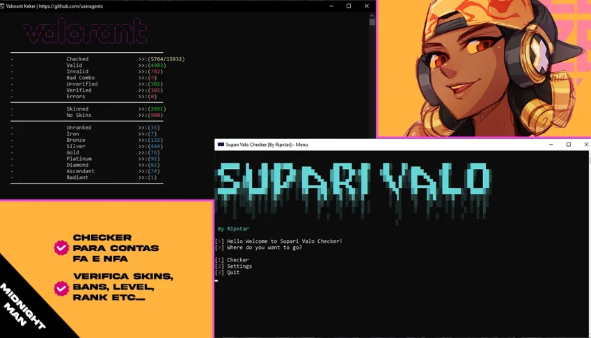 Valorant Checker | Captura De Contas Nfa E Fa