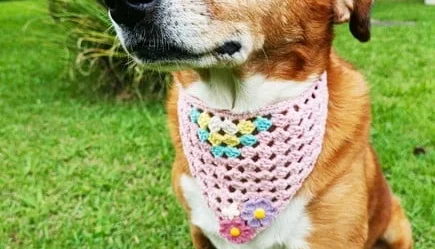 Bandana Pet em Crochê com Florzinhas
