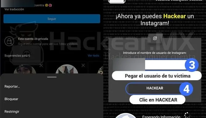 Clona Instagram App