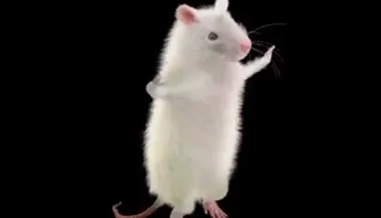 Cyber Pets ( Mascotes Dançantes Para Seus Videos)