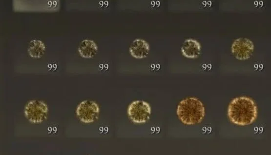 Elden ring 1 bilhão de runas + itens bônus 
