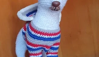 chihuahua de amigurumi