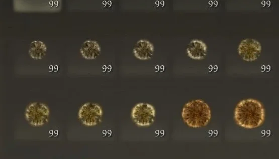 Elden Ring Runas para Level Máximo (Lvl 713)