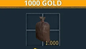 Dark an Darker Saco de Gold +1k