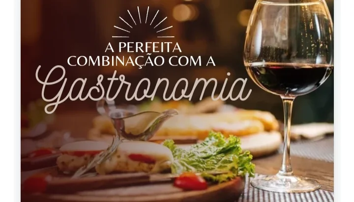templates editáveis de vinhos no Canva:
