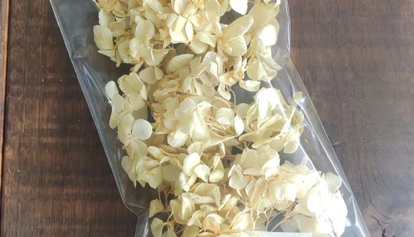 Mix Hortensias desidratadas no pacotinho