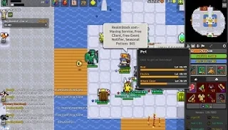 Vendo conta Realm Of The Mad God Completa (rotmg)