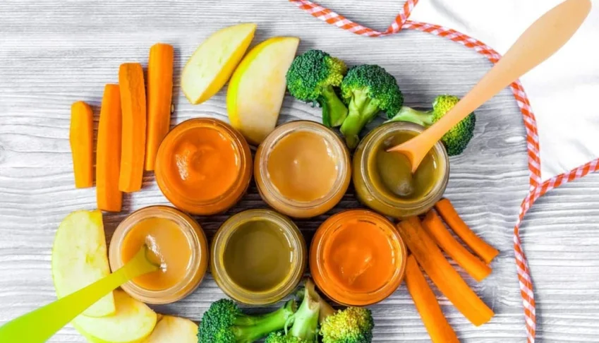 101 Receitas De Papinhas Naturais Para Bebê 