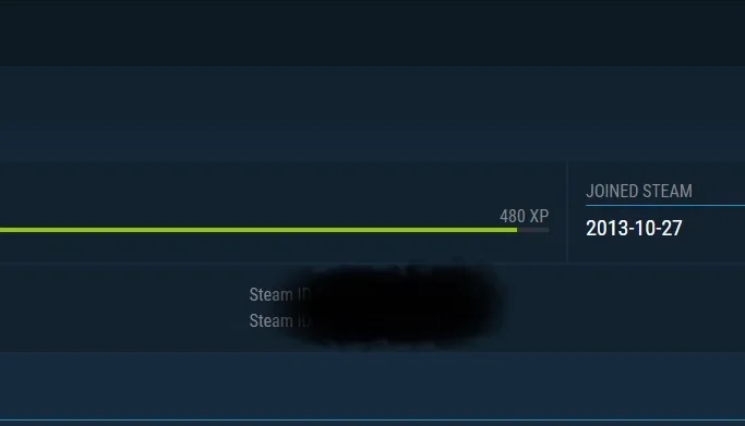 CONTA STEAM 6 ANOS DE SERVIÇO