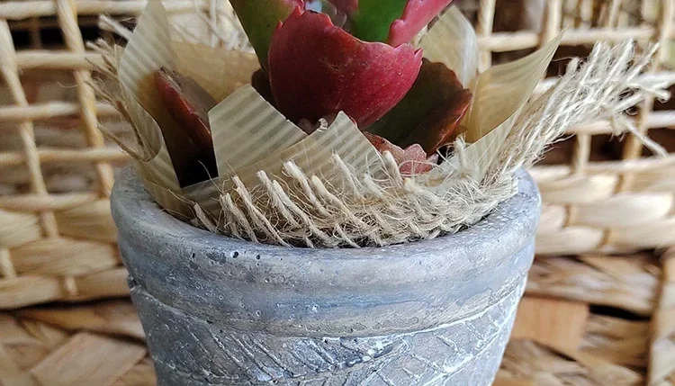 Vaso Terracota Envelhecido - Folhas