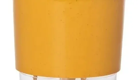 Vaso Autoirrigável com Material Reciclado