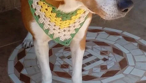 Bandana Pet de Crochê Artesanal
