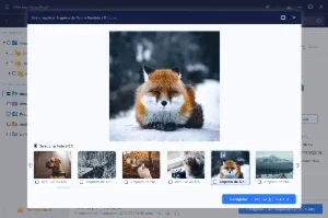 slider