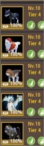 slider
