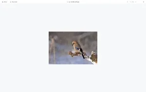 slider