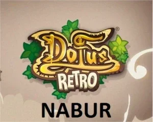 1 MK SERVIDOR NABUR - DOFUS RETRO