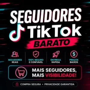 Seguidores no Tik Tok Barato