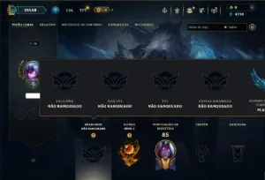 Unranked com 30 Champs e 10 Skins