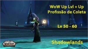 Rush lvl WoW Shadowlands + UP de Profissão de Coleta