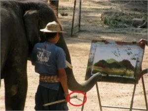 Por DFG: Instituto Elephant Nature Park
