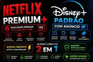 Combo Telas: Disney Premium + Netflix 4K | Telas Privada
