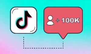 Seguidores, Curtidas e Visualizações no Tiktok
