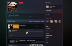 Conta cs2 prime com medalha - 19 anos de serviço + alguns jo