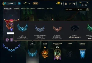 Bronze 1 com TODOS os Champs e 126 Skins ( ADC / JG / SUP )
