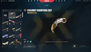 Conta Valorant - R$6500 em skins, champions 2021 e etc