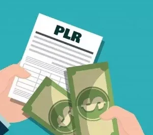 Pack Exclusivo Com Mais De 12,000 Plr's Para Revenda