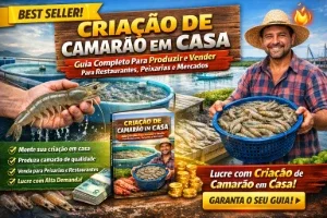 Criação de Camarão : Guia Completo Para Produzir e Vender